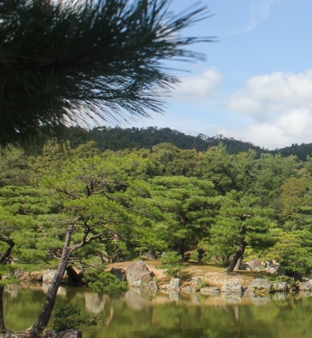 北京购物卡市场