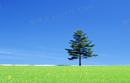 情感管理的核心
