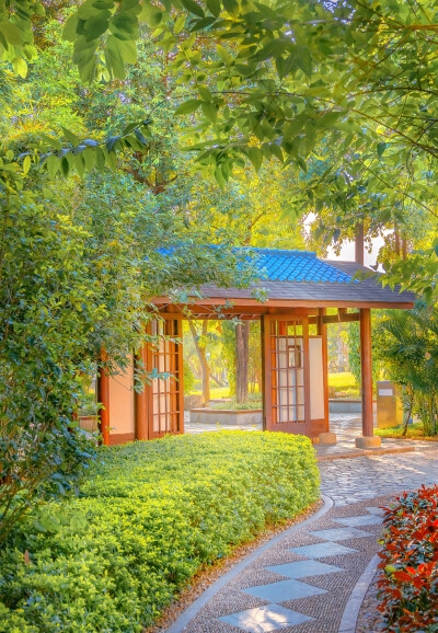 颜颜 情感