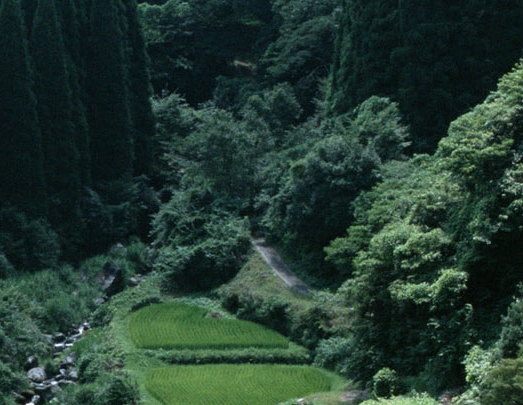 情感传播新传