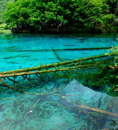 刺心情感原声15