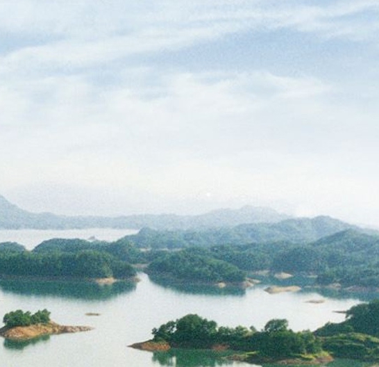 ch美瓷文
