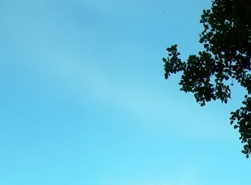 深圳艺术书法