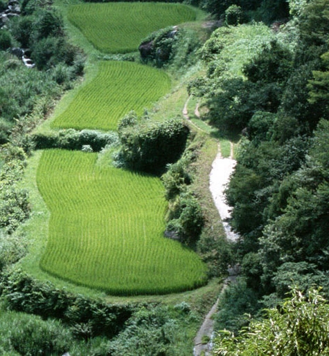生活观察家