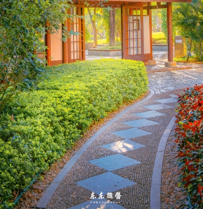 生活碎片视频