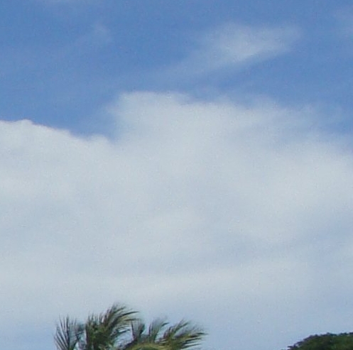 艺术兔子春联