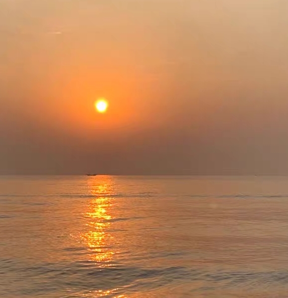 经典情感文章大全