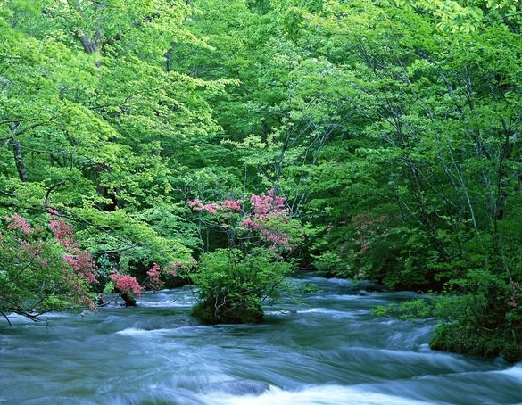 广饶新天地生活广场