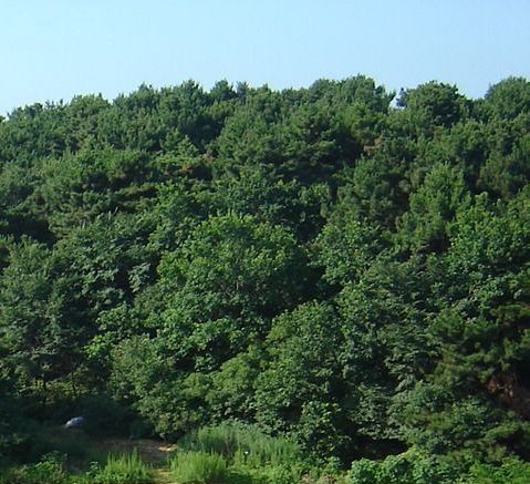 消防安全常识