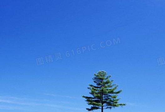 艺术之家