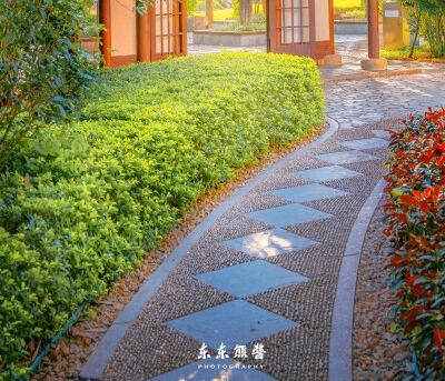 人文素养特点