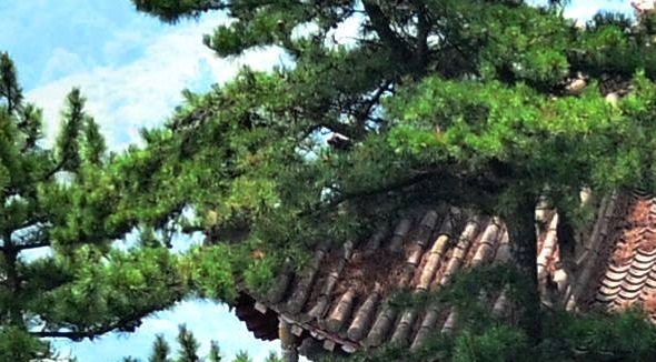 桂林地下商场小香港