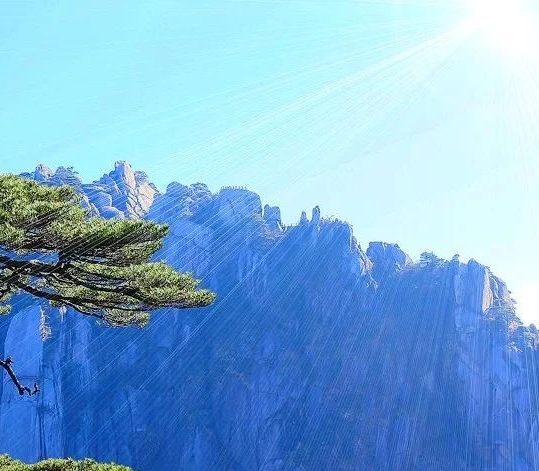 佛山家具网上商城