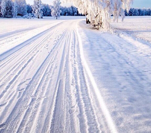 抖音雪梨老师英语课怎么样