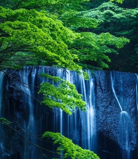 买水果的小常识