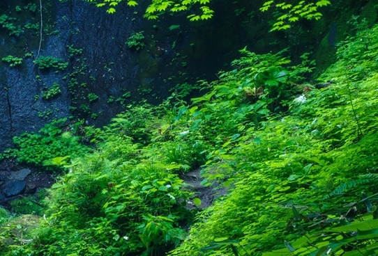 去西藏支教