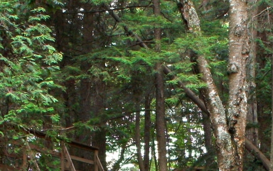 泸沽湖旅游朋友圈文案
