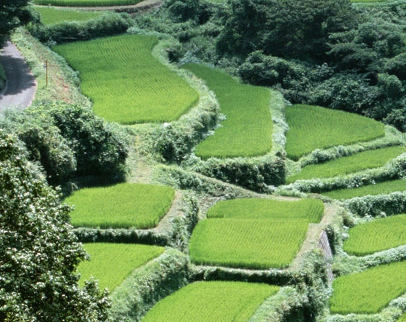 线下旅游购物店