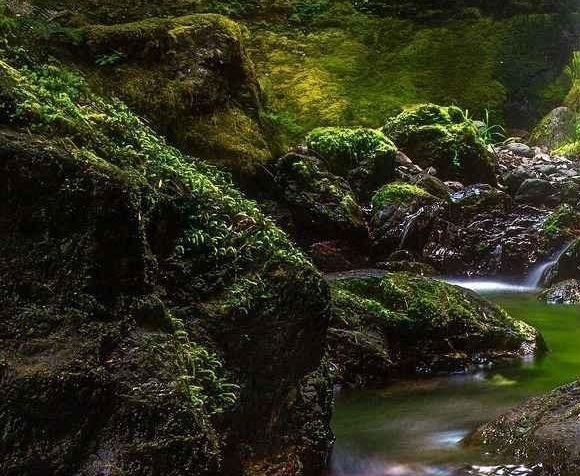 疫情防控喊话内容