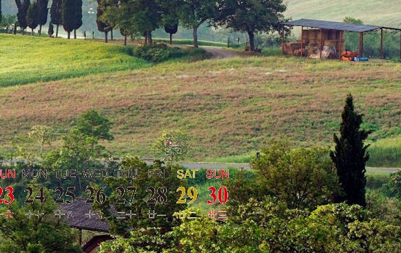 商城春节开门图片