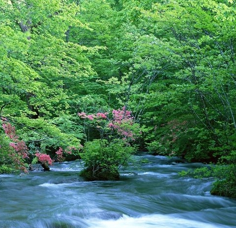 宽城生活广场