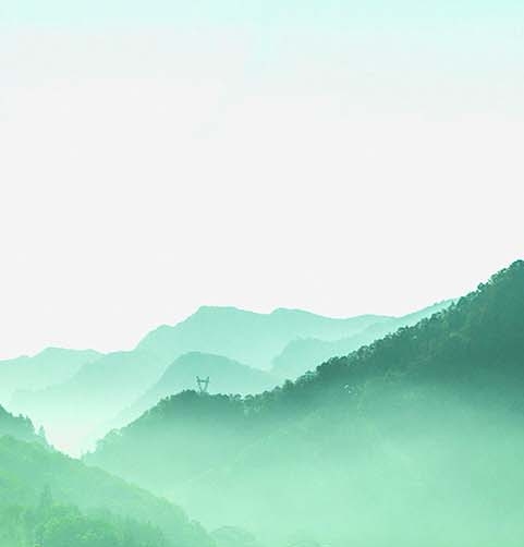 生活无忧小飞象