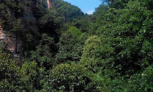 木云商城
