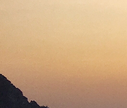 萱宝情感故事
