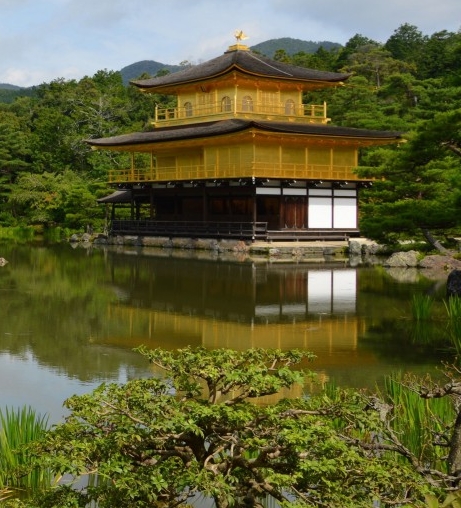 水粉水仙花美术教案