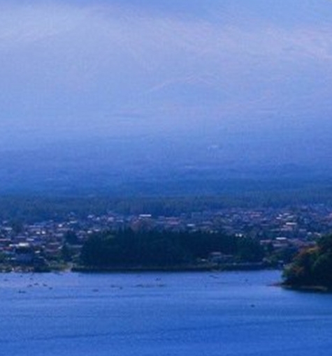 荒野养殖生活