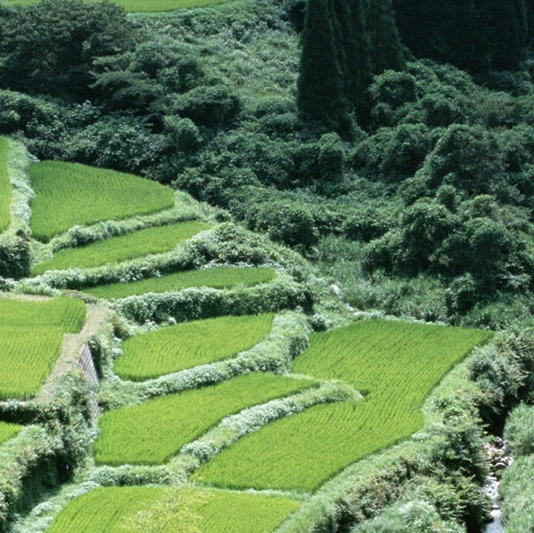 情感问题提问语录