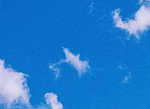 杜甫诗句精选