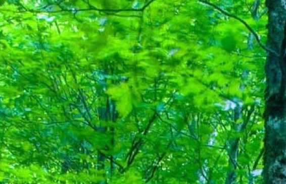 日不落 生活