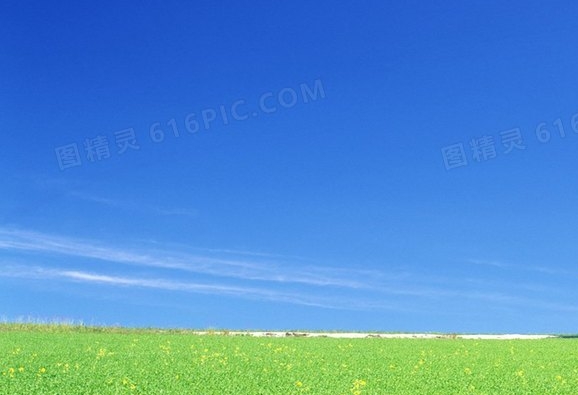 为什么足球直播是动画