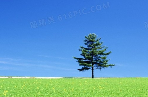 背文化常识的软件