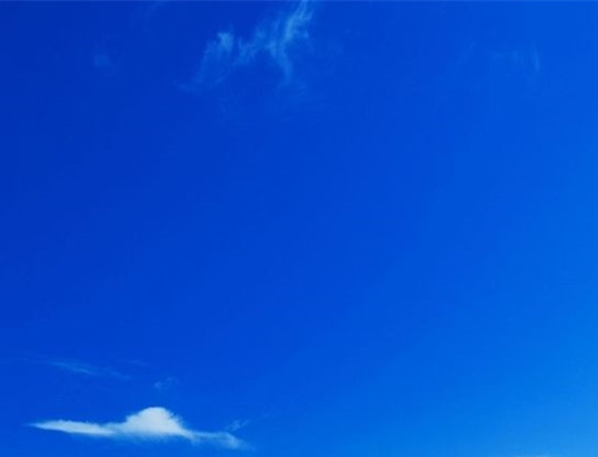 意大利80年代艺术电影有哪些