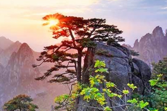 生活海鲜粉