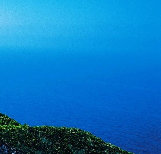 美人记 小说