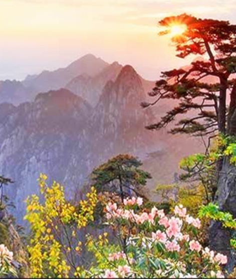 情感辅助大师