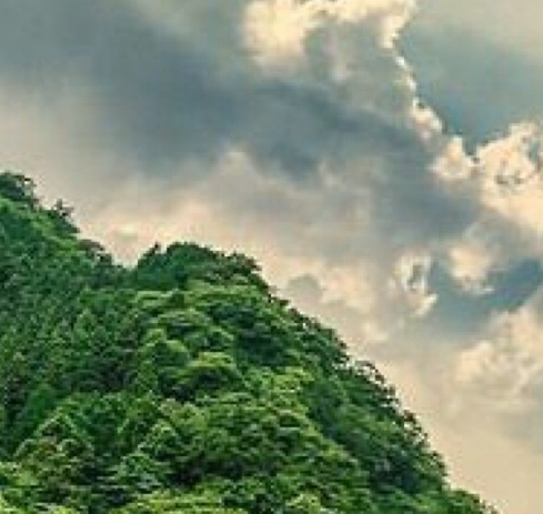 滨江和城