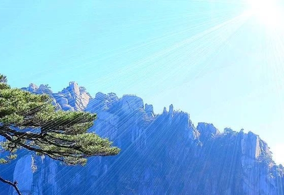 苹果华为商城手机