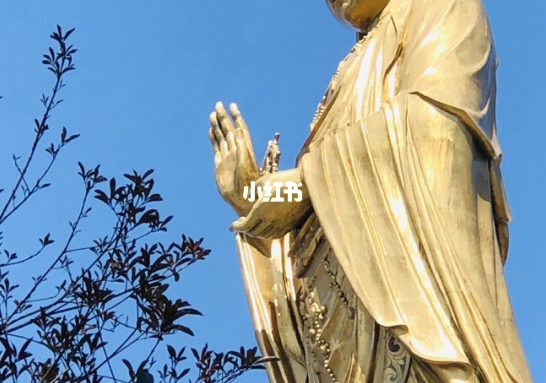 怎么彻底删除雨滴插件