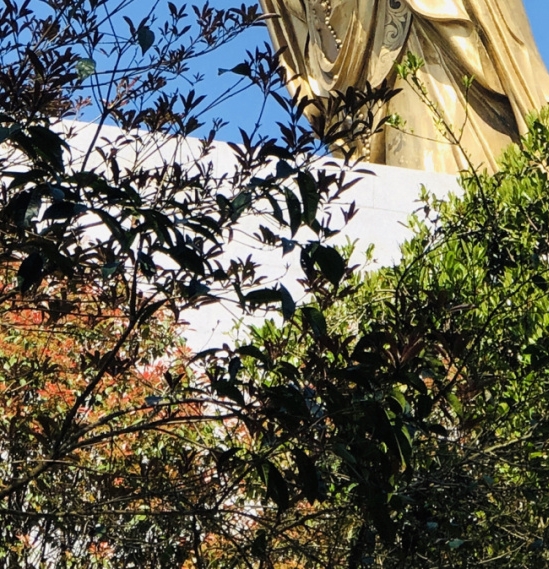 华硕校园商城在哪