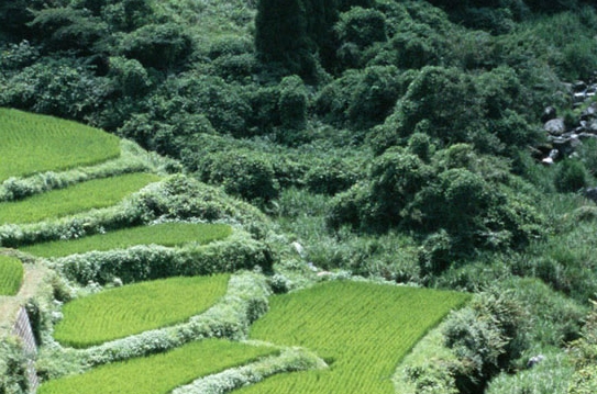 防雷电小常识