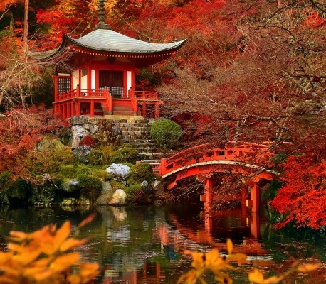 华强北电子商城