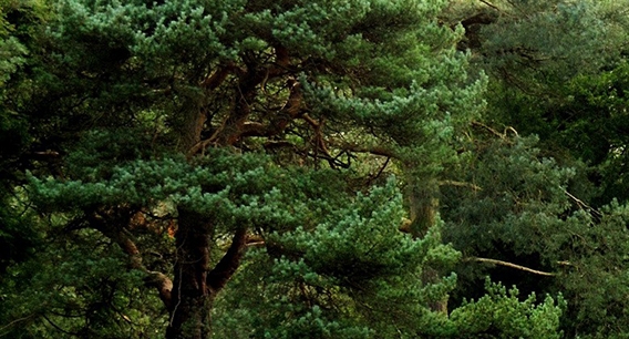 我的旅居生活
