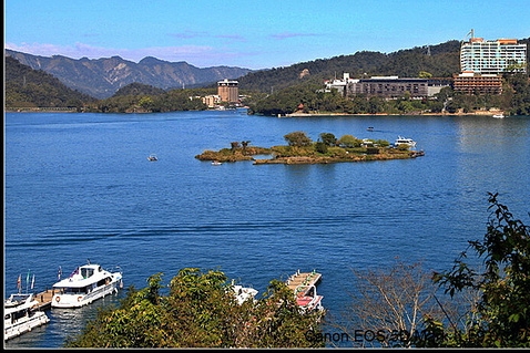 橙小兔艺术
