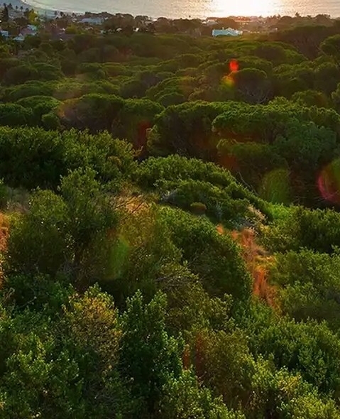 北京节前购物