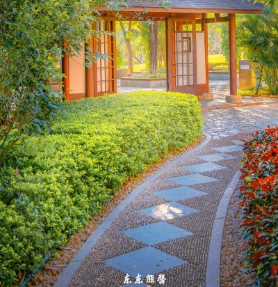 新世代