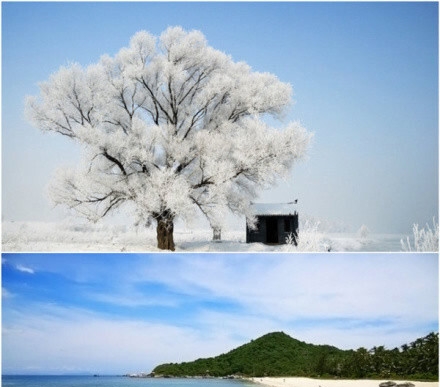 李晟西安艺术画原图